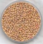 供应优质小麦,大豆,绿豆,白糖_农副产品_世界工厂网中国产品信息库